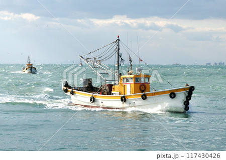 底曳き網漁船　タチウオ漁獲量日本一　和歌山県有田市辰ケ浜 117430426