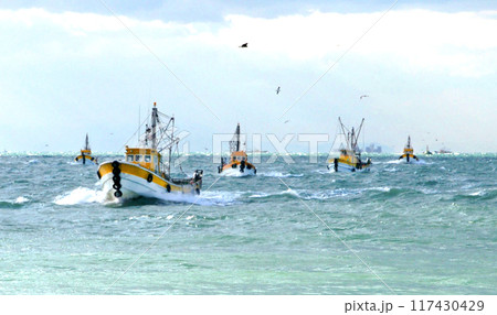 底曳き網漁船　タチウオ漁獲量日本一　和歌山県有田市辰ケ浜 117430429
