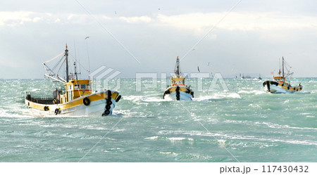 底曳き網漁船 タチウオ漁獲量日本一 和歌山県有田市辰ケ浜 底曳き網漁船 タチウオ漁獲量日本一 和歌山県有田市辰ケ浜 117430432