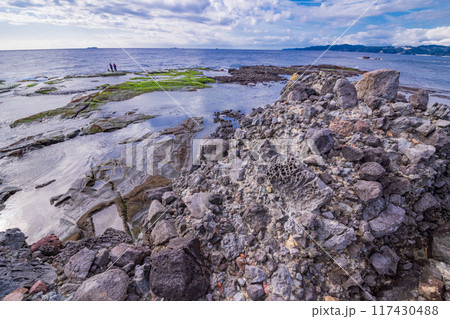【静岡県】伊豆半島ジオパーク・恵比須島(水底土石流の驚異) 【静岡県】伊豆半島ジオパーク・恵比須島(水底土石流の驚異) 117430488