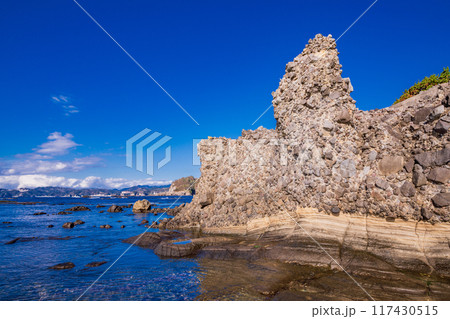 【静岡県】伊豆半島ジオパーク・恵比須島（水底土石流の驚異） 117430515