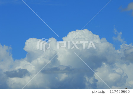 青空に浮かぶ白い雲 青空に浮かぶ白い雲 117430660