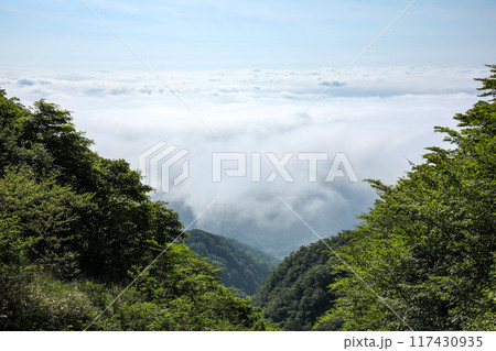 雲海 雲海 117430935