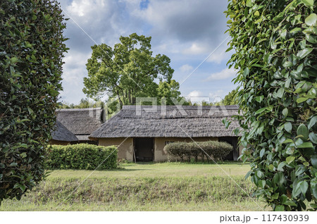 奈良・平安時代の建物（石岡市・常陸風土記の丘） 117430939