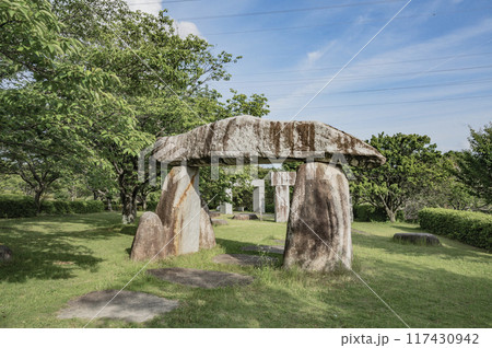 茨城　常陸風土記の丘（石岡市） 117430942