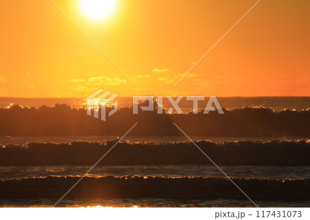 房総の夜明け 房総の夜明け 117431073