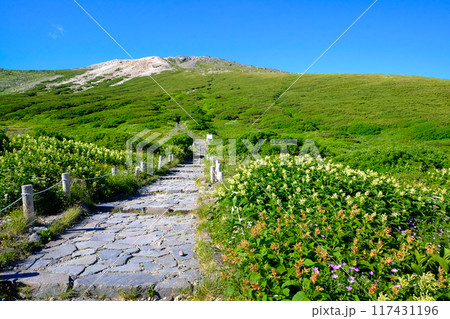 夏の白山室堂 117431196