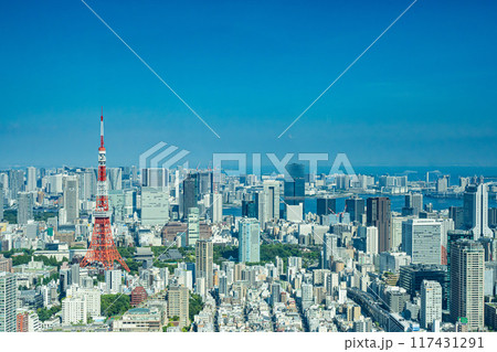東京タワーと東京の風景 東京タワーと東京の風景 117431291