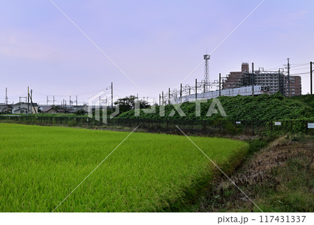 田園地帯の築堤を走る東武伊勢崎線各駅停車 117431337