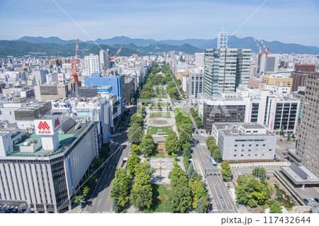 北海道札幌市　札幌市中心部　大通公園と札幌の街並み 117432644