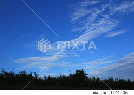 夏の大空に浮かぶ白い雲 夏の大空に浮かぶ白い雲 117432669