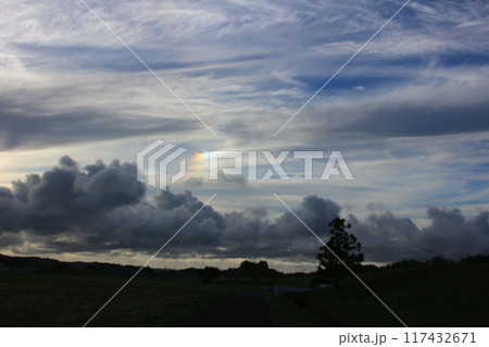 夏の大空に浮かぶ白い雲 夏の大空に浮かぶ白い雲 117432671