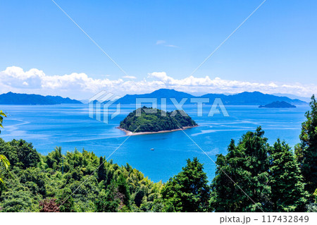 小芝島 117432849