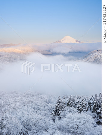 箱根から見る富士山の絶景雪景色 箱根から見る富士山の絶景雪景色 117433127