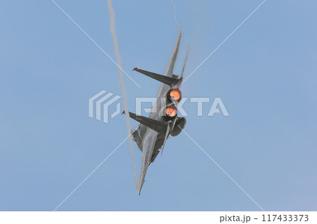 旋回する航空自衛隊F-15Jイーグル 117433373