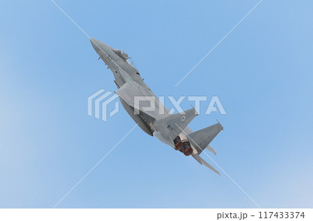 上昇する航空自衛隊F-15Jイーグル 117433374