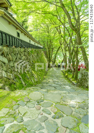 岐阜県揖斐川町　西美濃三十三霊場第一札所の新緑の横蔵寺の赤い橋 117433640