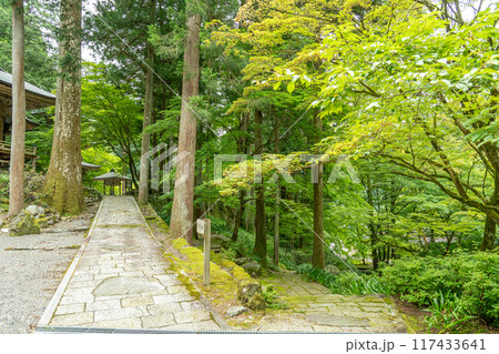 岐阜県揖斐川町 西美濃三十三霊場第一札所の新緑の横蔵寺の境内 岐阜県揖斐川町 西美濃三十三霊場第一札所の新緑の横蔵寺の境内 117433641