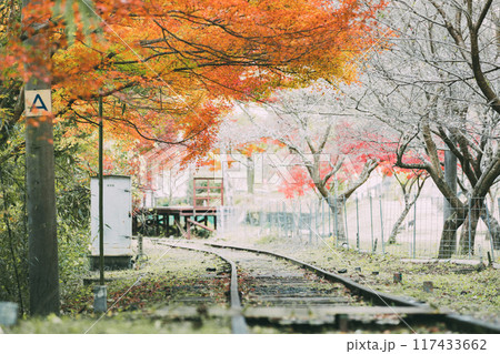 三河広瀬駅の紅葉 117433662