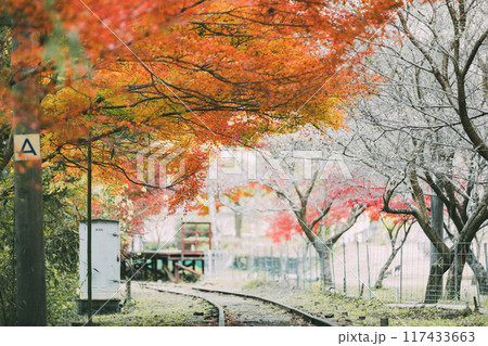 三河広瀬駅の紅葉 117433663