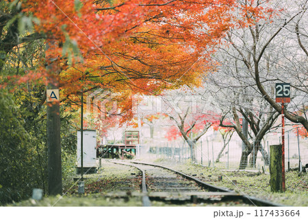 三河広瀬駅の紅葉 117433664