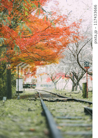 三河広瀬駅の紅葉 三河広瀬駅の紅葉 117433666