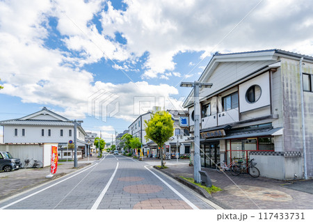 掛川市城下の町並み 掛川市城下の町並み 117433731