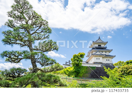 掛川城二の丸御殿庭園から掛川城天守閣を望む　松 117433735