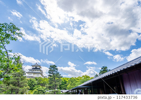 掛川市二の丸美術館から天守を望む 掛川市二の丸美術館から天守を望む 117433736