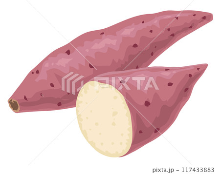 さつまいも 117433883