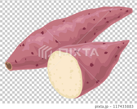 さつまいも 117433883