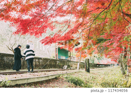 三河広瀬駅の紅葉と四季桜を楽しむカップル 三河広瀬駅の紅葉と四季桜を楽しむカップル 117434056