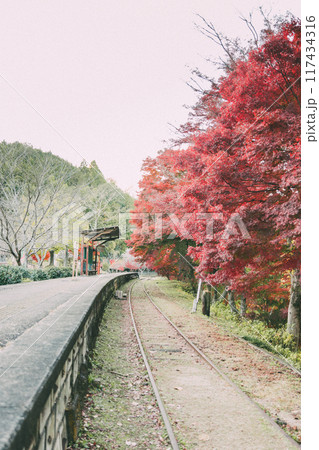 廃路線となった三河広瀬駅の紅葉 117434316