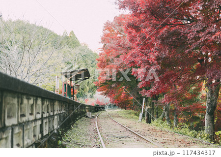 廃路線となった三河広瀬駅の紅葉 廃路線となった三河広瀬駅の紅葉 117434317