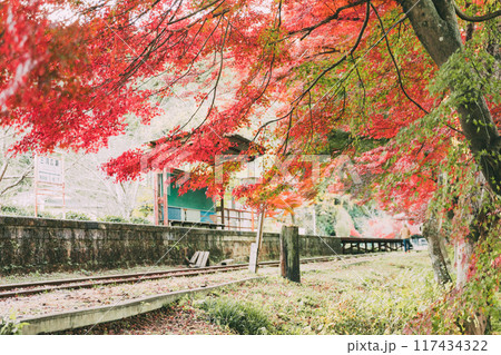 廃路線となった三河広瀬駅の紅葉 廃路線となった三河広瀬駅の紅葉 117434322