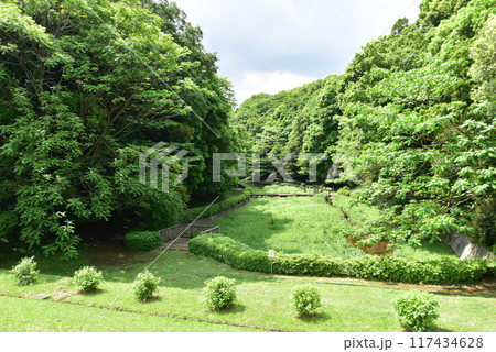 綾瀬市　城山公園（早川城跡）の湿生園 117434628