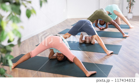 Multiethnic preteen children in dog pose exercising during yoga class in studio Multiethnic preteen children in dog pose exercising during yoga class in studio 117434832