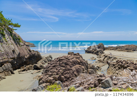 迫力ある柱状岩と広がる夏の海　宮崎県日向市 117434896