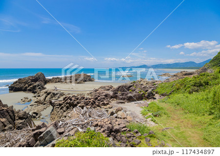 流木が流れ着く大御神社の海 宮崎県日向市 流木が流れ着く大御神社の海 宮崎県日向市 117434897