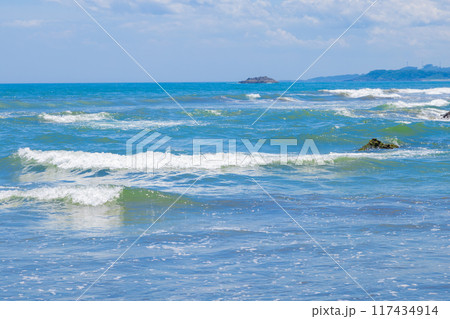 宮崎県日向市の海　大御神社の敷地内 117434914