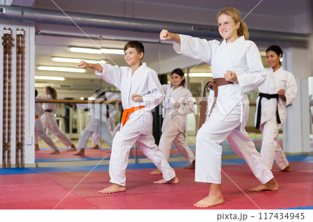 Karate kids doing kata in gym 117434945