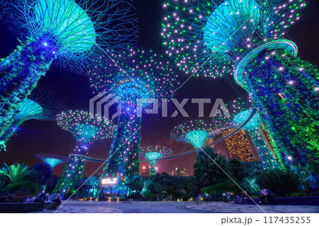 スカイウェイとガーデンズバイザベイの夜景 117435255