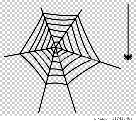 Vector illustration of a spider web Vector illustration of a spider web 117435468