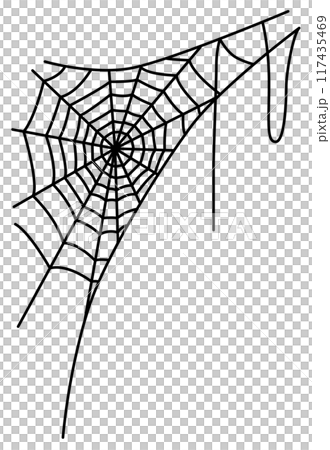 Vector illustration of a spider web 117435469