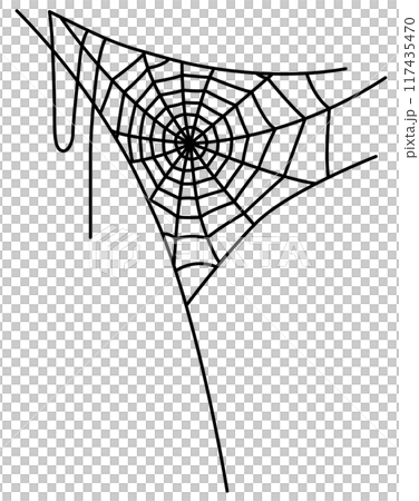 Vector illustration of a spider web Vector illustration of a spider web 117435470