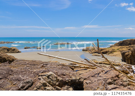 流木が流れ着く海　宮崎県日向市 117435476