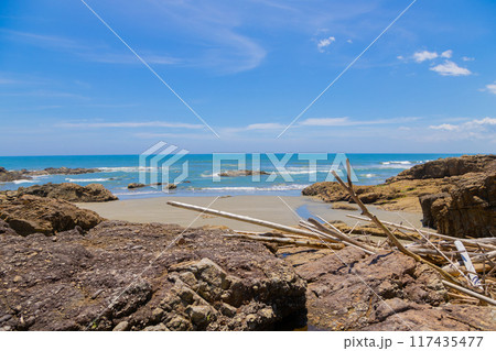 流木が流れ着く海 宮崎県日向市 流木が流れ着く海 宮崎県日向市 117435477