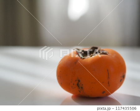 柿（一個・白背景・余白あり） 117435506