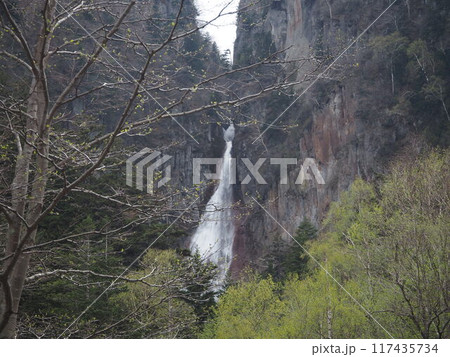 春の樹木が芽生えた層雲峡と流星の滝 春の樹木が芽生えた層雲峡と流星の滝 117435734