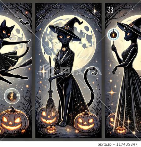 ハロウィン黒猫の魔女 117435847